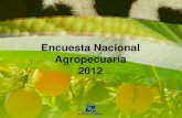 Encuesta Nacional Agropecuaria 2012internet.contenidos.inegi.org.mx/contenidos/productos/... · 2016-08-24 · Superficie cosechada por cultivo. Cultivos anuales Hectáreas Trigo