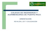 COLEGIO DE INGENIEROS Y AGRIMENSORES DE ...academic.uprm.edu/prt2/2do_Encuentro_CIAPR_UPRM/Revalida...COLEGIO DE INGENIEROS Y AGRIMENSORES DE PUERTO RICO DEBERES Y OBLIGACIONES 1.