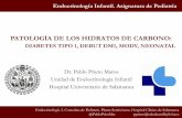 PATOLOGÍA DE LOS HIDRATOS DE CARBONOcampus.usal.es/~ogyp/Clases teoricas 2014 2015/Endocrino/Diabete… · PATOLOGÍA DE LOS HIDRATOS DE CARBONO: DIABETES TIPO 1, DEBUT DM1, MODY,