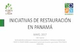 INICIATIVAS DE RESTAURACIÓN EN PANAMÁreddlandscape.org/wp-content/uploads/2017/06/S1_08-Dalia... · 2020-02-21 · En el marco de la Alianza por el Millón de Hectáreas, el grupo