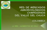 LA RED ALIMENTOS DE VIDA - UTPmedia.utp.edu.co › centro-gestion-ambiental › archivos › ...Los mercados ecológicos se comienzan a conformar como esfuerzos aislados en varios