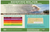 Wildfire flyer2018-CO Prepcsu-cvmbs.colostate.edu/Documents/Wildfire-flyer2019-Spanish.pdf · Sepa cuál es el pronóstico de la calidad del aire ¿Lo sabía? 301-500 151-200 101-150