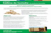 CADENA FORESTAL - Construmática.com › archivos › 126395 › w... · La cadena de custodia de Ios productos forestales constituye la etapa posterior a la certificación de la