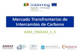 Mercado Transfronterizo de Intercambio de Carbono · • Empresas transportistas asesoradas y sensibilizadas en el proceso de cálculo de huella de carbono y certificación. • Prueba