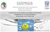 Condiciones de los acuíferos del estado de Tamaulipas ... · Prestación de servicios Actividad petrolera. Marco Físico •Climatología • Hidrología •Fisiografía •Geología.