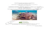 ARRECIFES REEF BALL EN LA PAZ, BCS, MÉXICOconsultaspublicas.semarnat.gob.mx/expediente/bcs/estudios/2018/0… · arrecifes reef ball en la paz, bcs, mÉxico proyecto de creaciÓn