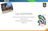 Los nutrientes - colegio-mineralelteniente.cl · Los nutrientes Reconocer las características de los nutrientes. Apoyo guía n°8 Profesora Mirta Quilodrán Medina. 8°AÑO A-B.