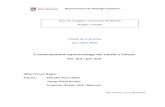L’ensenyament-aprenentatge del català a Tolosa: On, qui i ...diposit.ub.edu/dspace/bitstream/2445/104405/1/tfg_albaferran.pdf · 2.1. L’ensenyament de llengües fora del domini