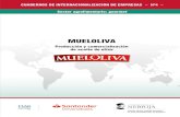 MUELOLIVA › pdf › catedras › libros › libro... · 2020-06-16 · El libro que tiene en sus manos estudia la internacionalización de MUELOLIVA, empresa dedicada a la producción