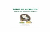 MALETA DEL NATURALISTA del naturalista...1 MALETA DEL NATURALISTA Módulo aves rapaces Centro de Estudios Agrarios y Ambientales Casilla 164, Valdivia, Chile Teléfonos 63-2215846/977782281