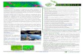 Historia CLASlite CLAS Flyer_Sp..pdf · CLASlite v3.2 admite imágenes Landsat 8, 7, 5 y 4, SPOT 4 y 5, ALI y ASTER. CLASlite v3.3 incluye compatibilidad con Google Earth Engine y