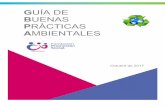 BUENAS · 2019-09-24 · Organización con Estatus Consultivo General ante el Consejo Económico y Social (ECOSOC) de Naciones Unidas 2 8 F. G-3 Introducción Los criterios de gestión