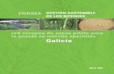 red europea de zonas piloto para la puesta en marcha ...Indice 01 Objetivos del FORSEE 5 02 Zonas piloto de actuación en Galicia 6 03 Criterios e indicadores de gestión forestal