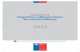 Guía para el Diagnóstico y Manejo Clínico de casos de Influenza · 2012-05-09 · Diabetes, Mellitus, Enfermedad pulmonar obstructiva crónica, Asma, Insuficiencia cardíaca congestiva,
