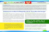 No. 10 - Cadena Cacao · actores de la cadena de valor del cacao, especialmente para los productores(as). Introducción. En los países cacaoteros de Sur América y varios del Caribe