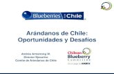 Arándanos de Chile: Oportunidades y Desafíoscomitedearandanos.cl/wp-content/uploads/2015/08/Andres... · 2017-04-21 · Competencia para los Arándanos de Chile. USA 0 1.000 2.000