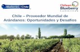 Chile Proveedor Mundial de Arándanos: Oportunidades y Desafíoscomitedearandanos.cl/wp-content/uploads/2015/08/... · Exportaciones de Arándanos Frescos de América del Sur 2015