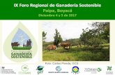 IX Foro Regional de Ganadería Sostenible Paipa, …ganaderiacolombianasostenible.co/web/wp-content/uploads/...Diciembre 4 y 5 de 2017 Foto: Carlos Pineda, GCS ¿Quiénes organizamos