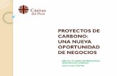 Cáritas del Perú - Infobosques es el sistema de ...infobosques.com/portal/wp-content/uploads/2016/09/... · 192 países han firmado el Protocolo, representan 63.7% de las emisiones.