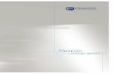 Aluminio · 2020-05-21 · Curso de tratamiento del aluminio: MODULO III Fosfatación y otros tratamientos. ... Consiste en un conjunto de programas de mejora que permiten optimizar