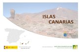 Informe de Resultados –Rev0 Documento elaborado por ... · 2011 para la Comunidad Autónoma de Canarias con comparaciones con los datos nacionales. ... trabajo de campo desde el