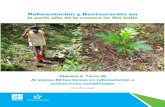 Reforestación y Restauración en - Panama Canal · Contrato de consultoría No. 023 (2016) “Estudios para la elaboración del diseño conceptual del reservorio multipropósito