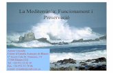 La Mediterrània: Funcionament i Preservació - oceans.cat 2010.pdf · mitjana similar a la mitjana de tots els oceans. • Les zones costaneres, tret de l’efecte dels abocaments