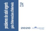 Guia d’Intervencions d’Infermeria a Problemes de Salut EAP Can Bou · 2020-02-18 · Guia d’Intervencions d’Infermeria a Problemes de Salut Urgents CUAP Castelldefels V 1.2