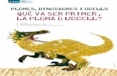 PLOMES, DINOSAURES I OCELLS Què va ser primer, la ploma o ... · ges de dinosaures teròpodes celurosaures, els quals conserven amb un detall força acurat les estructures tegumentàries