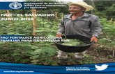 FAO EL SALVADOR JUNIO-2016 · JUNIO-2016 FAO FORTALECE AGRICULTURA ... tre los países del Sistema de la Integración Centroamerica- na. Asimismo, se identificaron los avances, inquietudes