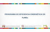 Programa Eficiencia Energética en PYMES · PROGRAMA DE EFICIENCIA ENERGÉTICA EN PyMEs ¿CÓMO PARTICIPAR? Secretaría de Estado de la Energía Gobierno de la provincia de Santa