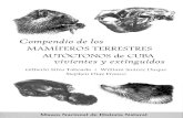 Compendio de los MAMIFEROS TERRESTRES etal_Los... · 2018-11-17 · Perezosos (Pilosa: Megalonychidae) 12 Musarafias (Soricornorpha: Nesophontidae y Solenodontidae) 77 Monos (Primates: