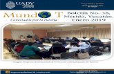 Presentación de PowerPointn/BOLETINES/Boletí… · consolidación de la tutoría a nivel institucional. 21/01/2019 3 tutoria.uady@correo.uady.mx 9-28- 13-05 Ext.74302 . 21/01/2019
