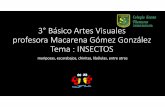 3°Básico Artes Visuales profesora Macarena Gómez González ... · -Nombra los insectos que conoces en las imágenes y describe su apariencia física, formas y colores. •Busca