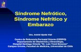 Síndrome Nefrótico, Síndrome Nefrítico y Embarazo › _items › File_002_00579_0014.pdf2016 •Renal function during normal pregnancy and preeclampsia Front Biosci. 2007 Jan Síndrome