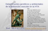 Red HERACLES () · Red HERACLES () Hipertensión Esencial: Red de Análisis de Canales iónicos y Ligandos de Estrógenos Sintéticos 2007 J Marrugat IMIM-Barcelona M Valverde UPF-Barcelona