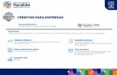 Créditos para empresas - Yucatán · Crédito con carácter devolutivo , 0% de interés hasta el 31 de diciembre de 2020 y 4 meses de gracia en la primera mensualidad. Población