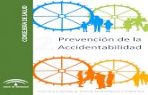 Prevención de la Accidentabilidad - Red Local de Acción ... · Campañas de promoción del uso del casco, el cinturón de seguridad y los mecanismos de retención. Acuerdos intersectoriales.