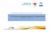 “A 20 años de Beijing: Balance y Perspectivas” › ... › 51MDM-B20-P2-PaolaPabon.pdfPaola Pabón paola.pabon@asambleanacional.gob.ec Ecuador. Title: Presentación de PowerPoint