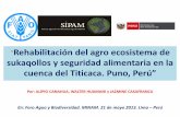 Rehabilitación del agro ecosistema de sukaqollos y seguridad … · 2017-06-03 · “Rehabilitación del agro ecosistema de sukaqollos y seguridad alimentaria en la cuenca del Titicaca.