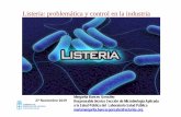 Presentación Listeria problemática y control en la industria · Distribucióny Epidemiología – Las listeriosis clínicas son muy infrecuentes y dispersas (1-2 casos/millón habitantes/año)