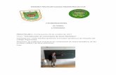 COORDINADORES JM TORRES A FERNÁNDEZ Introducción al ...colegioargantonio.es/.../MEMORIA-PRACTICUM-2017_18.pdf · PRACTICUM 2: Fecha jueves 2 de noviembre de 2017 Título: "Características