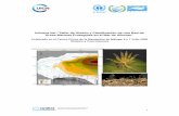 Informe del “Taller de Diseño y Planificación de una ... · Parque Nacional de Alhoceima, los Sitios de Interés Biológico y Ecológico (EBSAS) y los humedales costeros declarados