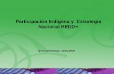 Participación Indígena y Estrategia Nacional REDD+ · •Deberán adoptarse las medidas especiales que se precisen para salvaguardar las personas, las instituciones, los bienes,