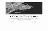 El Delta de l’Ebre · Activitat nocturna (gimcana, futbol, bàsquet i discoteca). Dijous 16/6/16 Visita a Món Natura (centre d’interpretació del Delta de l’Ebre). Activitat