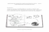 MASTER EN AGRICULTURA ECOLÓGICA 2010 – 2011 … · 3. Material y método ... Proyecto: Interacciones multitróficas en la col y su relación con la regulación natural de plagas