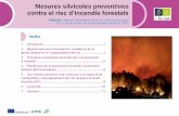 Mesures silvícoles preventives contra el risc …eforown.ctfc.cat/pdf/R30_CAT.pdfEl foc és un element intrínsec del clima mediterrani, i el bosc ha evolucionat en aquest context.