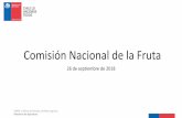 Comisión Nacional de la Fruta · 2019-05-31 · Los Lagos Aisén País Fuente: Boletín Fruta Fresca Odepa elaborado con información del catastro frutícola Odepa-Ciren.. 0 10.000