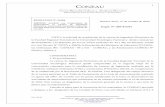 CONEAU - Sitio Web Rectorado...CONEAU mediante Ordenanza Nº032 y resoluciones Nº052/03 y 056/03, en cumplimiento de lo establecido por la Resolución M.E. Nº1232/01. Una delegación