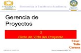 Gerencia de Proyectosfiles.gerenciadeproyectosctc.webnode.es/200000010... · Ciclo de vida de un proyecto y su organización GERENCIA DE PROYECTOS Grupo de Investigación GIPEST-2011